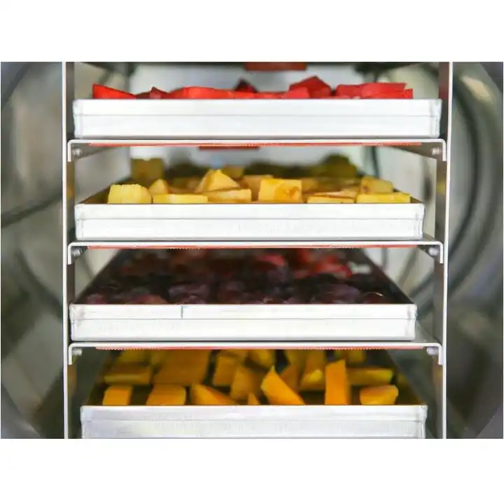 Dehydrators For Food Freeze Dryer Machine For Home Food Stainless