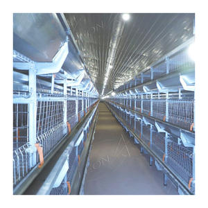 Yüksek kalite otomatik H tipi broiler kuş tavuk için tel örgü panelleri pil kanatlı kafes - Product Image 3