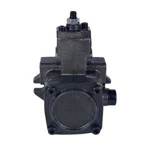 Bomba de paletas de desplazamiento variable serie VPVC-F12/F20, modelo VPVC-F12 VPVC-F20, bomba hidráulica VPVC-F20-A2-20-N para unidades de potencia hidráulica - Product Image 2