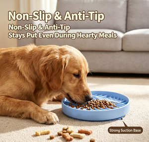 Gamelle anti-renversement de qualité alimentaire pour animaux de compagnie, avec design <span class=keywords><strong>labyrinthe</strong></span> pour une alimentation lente, et ventouse puissante pour l'alimentation quotidienne des petits animaux. - Product Image 3