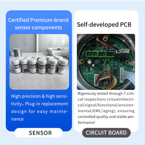 RTTPP rilevatore di fughe di Gas sensibile per danni tossici combustibili fissi pannello di controllo <span class=keywords><strong>allarme</strong></span> Gas Controller <span class=keywords><strong>allarme</strong></span> Gas - Product Image 6