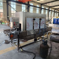 Machine à brûler au gaz continu pour les pattes de porc, les têtes de mouton, les pattes de poulet, la peau de la volaille, machine à échauffer en acier inoxydable