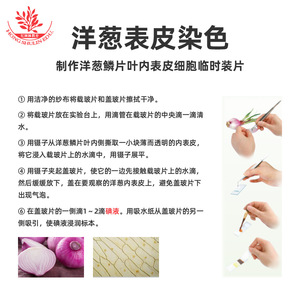 Solution d'iode diluée à une concentration supérieure à 2 % pour la photosynthèse, la décoloration de l'amidon et la cellule épidermique d'oignon - Product Image 5