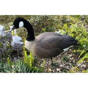 Offre Spéciale : Leurre Canard d'Amérique Réaliste Entièrement Flocqué avec Tête Flocquée – Leurre de Chasse Réaliste pour la Chasse en Extérieur et la Décoration de Jardin - Product Image 3