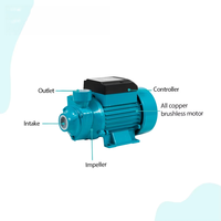 Pompe à eau solaire miniature 24V 230W à moteur CC pour irrigation à basse pression - Vente en gros