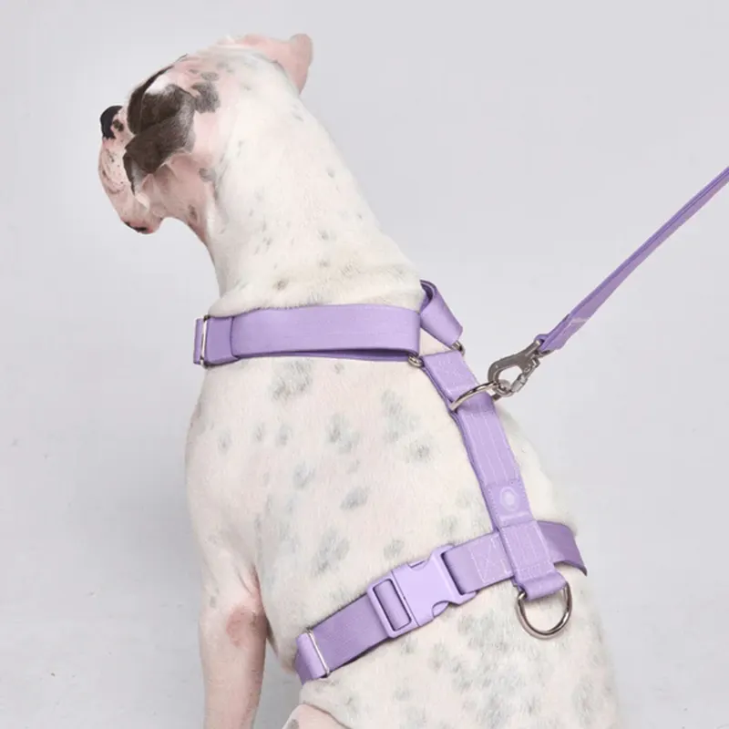 低MOQナイロングラデーションドッグハーネス屋外旅行犬のトレーニングのためのプルなし大型犬のベスト