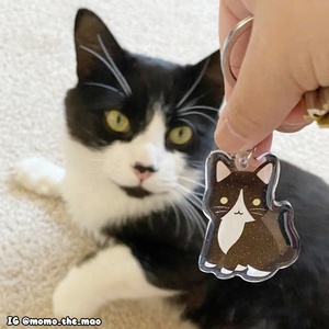 OEM Odm อะนิเมะ แมวสีดำในชุดทักซิโด้ อะคริลิค PET ลายการ์ตูนชิบิ สัตว์น่ารัก สำหรับคนรักงานศิลปะ ประดับกลิตเตอร์ น่ารัก คาวาอิ ลูกแมวน่ารัก  Loss <span class=keywords><strong>Me</strong></span> - Product Image 3