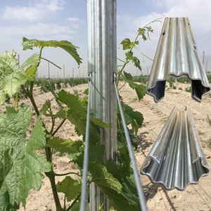 <span class=keywords><strong>Postes</strong></span> <span class=keywords><strong>de</strong></span> Pérgola <span class=keywords><strong>para</strong></span> Viñedos <span class=keywords><strong>de</strong></span> Acero Galvanizado Tratado Térmicamente Estilo Italiano <span class=keywords><strong>de</strong></span> 2.5M <span class=keywords><strong>para</strong></span> Extremos <span class=keywords><strong>de</strong></span> Viñedos - Product Image 1