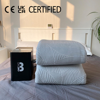 Système de refroidissement de matelas à eau, double zone, intelligent, contrôlé par application, similaire au matelas rafraîchissant silencieux et imperméable Eight 8 Sleep