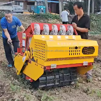 Vente en gros tracteur semoir à ail machine de plantation deux rangées de semoir à ail à vendre