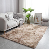 Tapis shaggy moderne à poils longs, fabriqué à la machine, pour la maison, résistant aux animaux domestiques, lavable, pour salon