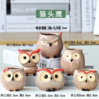 Hibou Céramique Mini Pot De Fleur Succulente Hibou Animal Pouce Zakka Pot De Fleur
