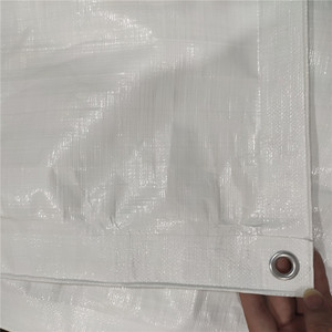 Bâche PE imperméable à la pluie couverture étanche polyéthylène auvent ombre pour jardin extérieur jardin camion <span class=keywords><strong>bateau</strong></span> animal chien <span class=keywords><strong>maison</strong></span> voiture - Product Image 2