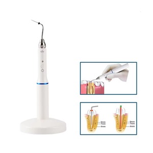 Stylo chauffant dentaire en métal, système d'obturation électrique sans fil pour gutta-percha, stylo chauffant endodontique avec 2 pointes chauffantes - Product Image 6