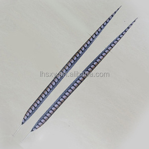 Piume di Falsificazione di Fagiano Sintetiche Soffici da 50-180 cm per Composizioni Floreali, Decorazioni per Casa, Hotel e Vasi (Confezione Bulk) - Product Image 4