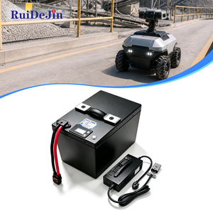 Rugged Custom Robot Lithium Battery Integrated BMS Overheat for Distribution AMR Automatic Trolley Robot Large Quantity Supply - Product Image 1