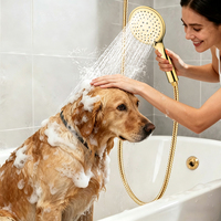 Pommeau de Douche Moderne Portable TOPWAY - Douchette à Main ABS 3 Jets DIA121 * H250MM Or Poli pour Hôtels et Salles de Bain