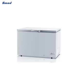 Congélateur commercial 105~850L, congélateur profond avec dégivrage manuel et thermostat réglable, porte blanche - Product Image 5