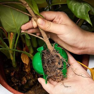 Boules de propagation à haute pression greffe plante greffage enracinement grandir arbre à haute pression rooter extérieur culture coupe - Product Image 3