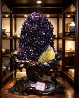 Grappe d'améthyste naturelle avec spécimen de cristal de quartz jaune, géode drusée violette sur support en bois massif sculpté à la main, minéral brut