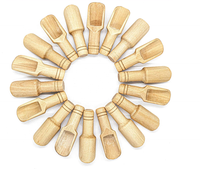 Cuillère courte en bois de bambou, 5 pièces, mini bols plats en bois de mesure de la cuisine pour les salches de bain, vente en gros