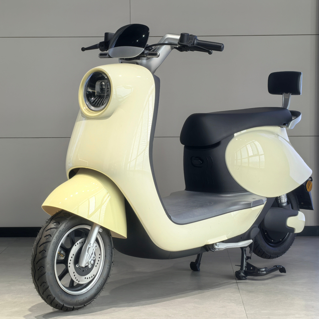 1500W Electric Motorcycle with Lead Acid Battery Two Wheel Scooter