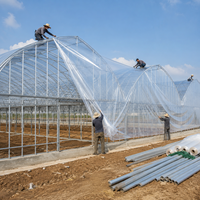 Serre en film à simple travée facile à installer pour semis et agriculture à petite échelle avec couverture résistante aux intempéries