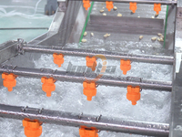 Ligne de production industrielle de pâte d'ail, machine à purée d'ail SUS304, ligne de fabrication de sauce à l'ail, à l'oignon et au gingembre