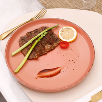 Marché américain vente à chaud Style nordique rond grès 20 pièces ensembles de vaisselle tacheté mat Rose assiette en céramique et ensemble de bols