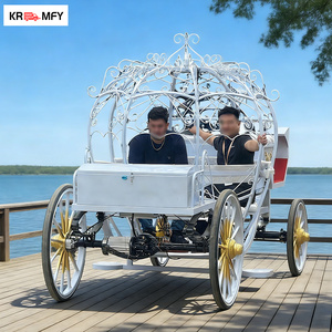 Carroza Eléctrica de Lujo para Bodas, Fabricada por Royal Manufacturer, de Alta Calidad, 150-250HP - Product Image 4