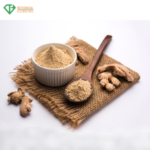 Medicina de la hierba Extracto de raíz de jengibre 20% gingeroles en polvo (soluble en agua) jengibre de extracto de - Product Image 3