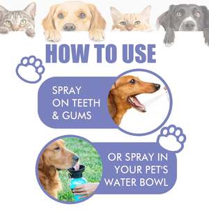 Spray Bucal para Mascotas de Marca Privada, Elimina las Manchas Dentales, Mantiene el Aliento Fresco, para Perros y Gatos - Product Image 3
