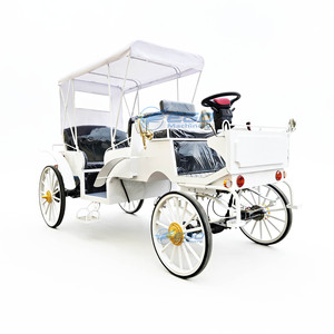 Calèche de tourisme de haute qualité, véhicule à chevaux, calèche de tourisme blanche, calèche de tourisme électrique Victoria - Product Image 1