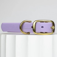 Ensemble collier, laisse et harnais pour chien, personnalisable avec logo, aspect cuir moderne et luxueux, surface douce et lisse, imperméable, pour petits et grands chiens