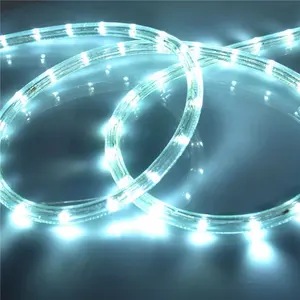 Nuovo Morden China fornitore ciondoli programmabili Rgb flessibile per esterni Neon albero di natale luci di striscia a Led luci a corda a Led
