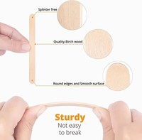 Bâtonnets de crème glacée en bois biodégradables, écologiques et durables pour fabricants de sucettes glacées, présentations de desserts, vente en gros