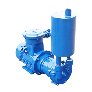 Bomba de Vacío de Anillo de Agua Industrial 2BV2061, Bomba de Vacío de Circulación de Agua, Compresor de Vacío de Anillo de Agua - Product Image 1