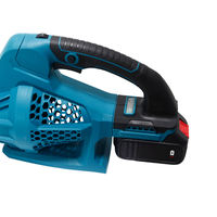 Souffleur d'air électrique sans fil portatif 21V à batterie pour feuilles et cheveux, usage domestique/extérieur, machine à tempête BG BG-BF20Y, garantie 1 an