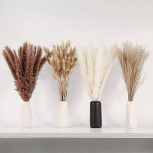 Petit bouquet de fleurs séchées, herbe de la queue de lapin, herbe de la <span class=keywords><strong>pampa</strong></span>, style bohème écologique, pour usage intérieur, cadeaux d'affaires, fleurs - Product Image 1