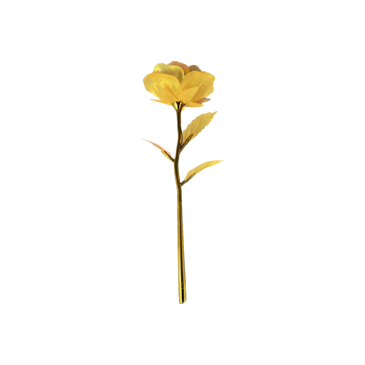 Jaune (Macron)