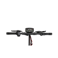 Trottinette électrique pliable RCB D5 48V 20.8Ah Lithium 250W pour UE 500W UE Capteur numérique Cadre en alliage d'aluminium