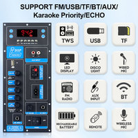 Modul Amplifier DSP Daya Tinggi VIRE untuk Speaker Trolley 8-18 Inch, Audio Outdoor, 60W Mono Stereo