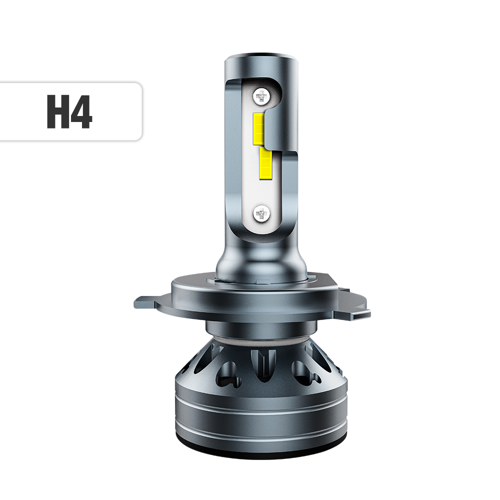 H4