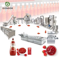 Industriële kleine tomatenproductielijnmachine voor het maken van saus in een pasta-verwerkingsfabriek.