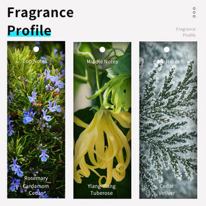 I Angel 40ml <span class=keywords><strong>Parfum</strong></span> pour <span class=keywords><strong>Homme</strong></span> Format Standard Vaporisateur Corporel Notes Boisées Cèdre <span class=keywords><strong>Ylang</strong></span> Longue Durée <span class=keywords><strong>Parfum</strong></span> Floral Flacon en Verre Maison - Product Image 2