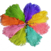 Plumes d'autruche grandes blanches, roses, rouges, noires pour décoration, artisanat DIY, 50-55CM, écologiques, faites à la main, Art Déco, décoration intérieure, fête