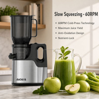 Whisper Quiet Slow Juicer 15cm Volledige Fruitopening DC Motor Onder 80dB RVS Gaas Makkelijk Reinigbaar Koudpers Sapcentrifuge