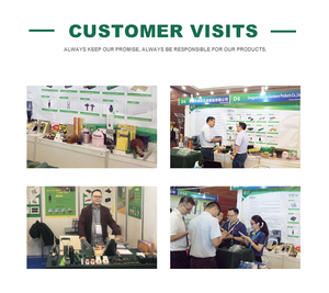 Chất lượng cao Nhựa mối dò bẫy côn trùng kiểm soát mối mồi - Product Image 6