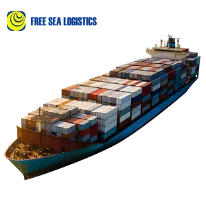 从中国到世界各地的20 FT 40 HQ集装箱专业可靠的货运服务