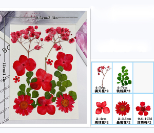Gepresste Blumen für Harz-Lesezeichen Rahmen-Mixpacks DIY Kunsthandwerk Natürliche Pflanzen Umweltfreundlich - Product Image 3